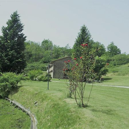Fattoria Il Praticino - Metato Villa Castelfranco di Sopra Luaran gambar