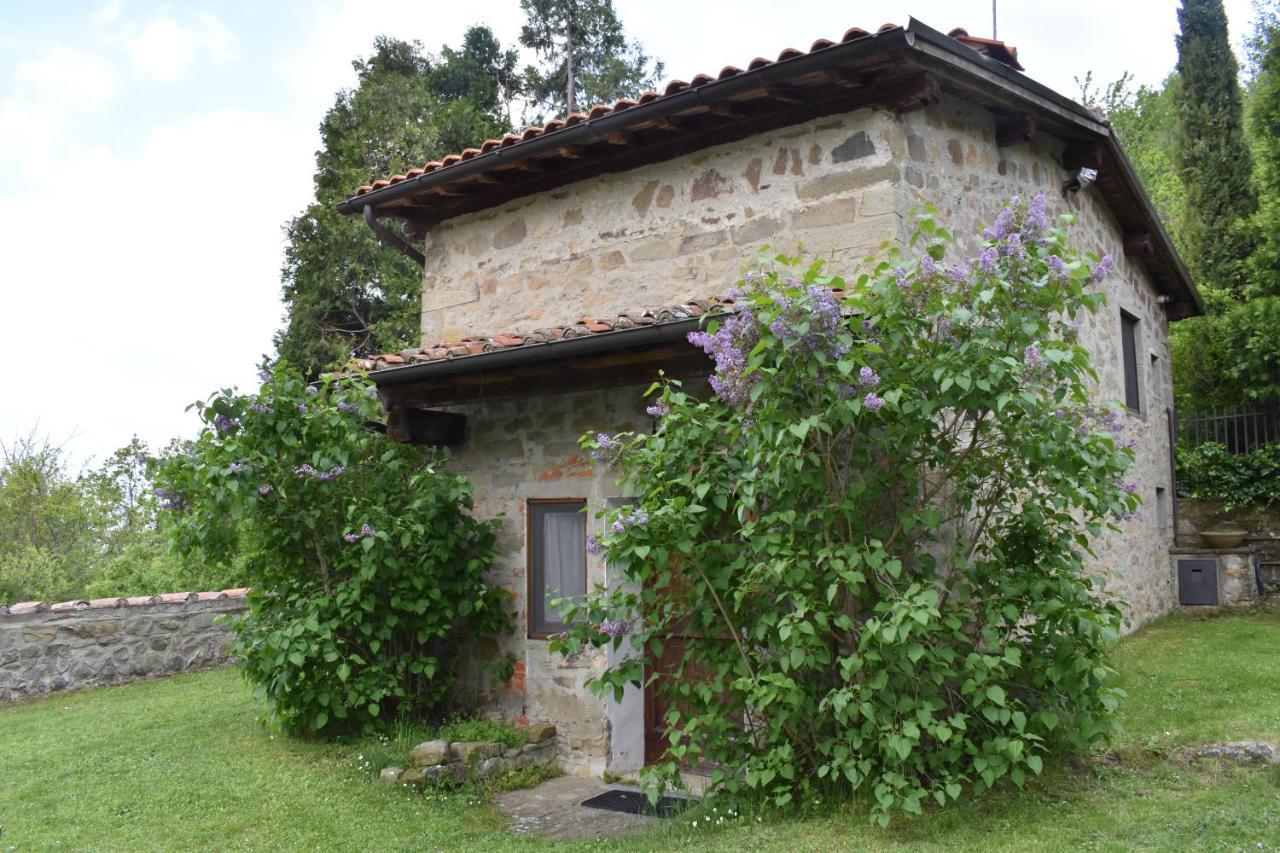 Fattoria Il Praticino - Metato Villa Castelfranco di Sopra Luaran gambar