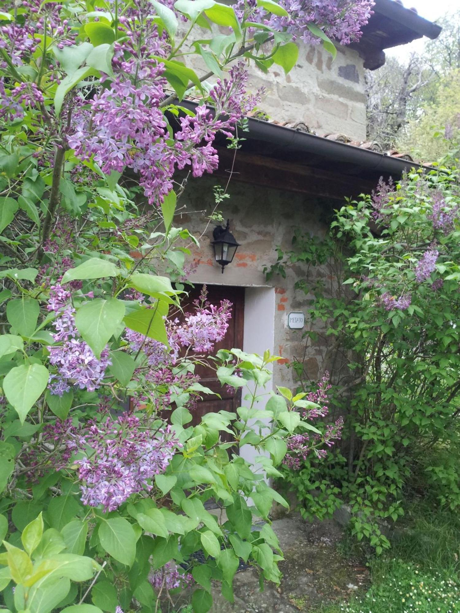 Fattoria Il Praticino - Metato Villa Castelfranco di Sopra Luaran gambar