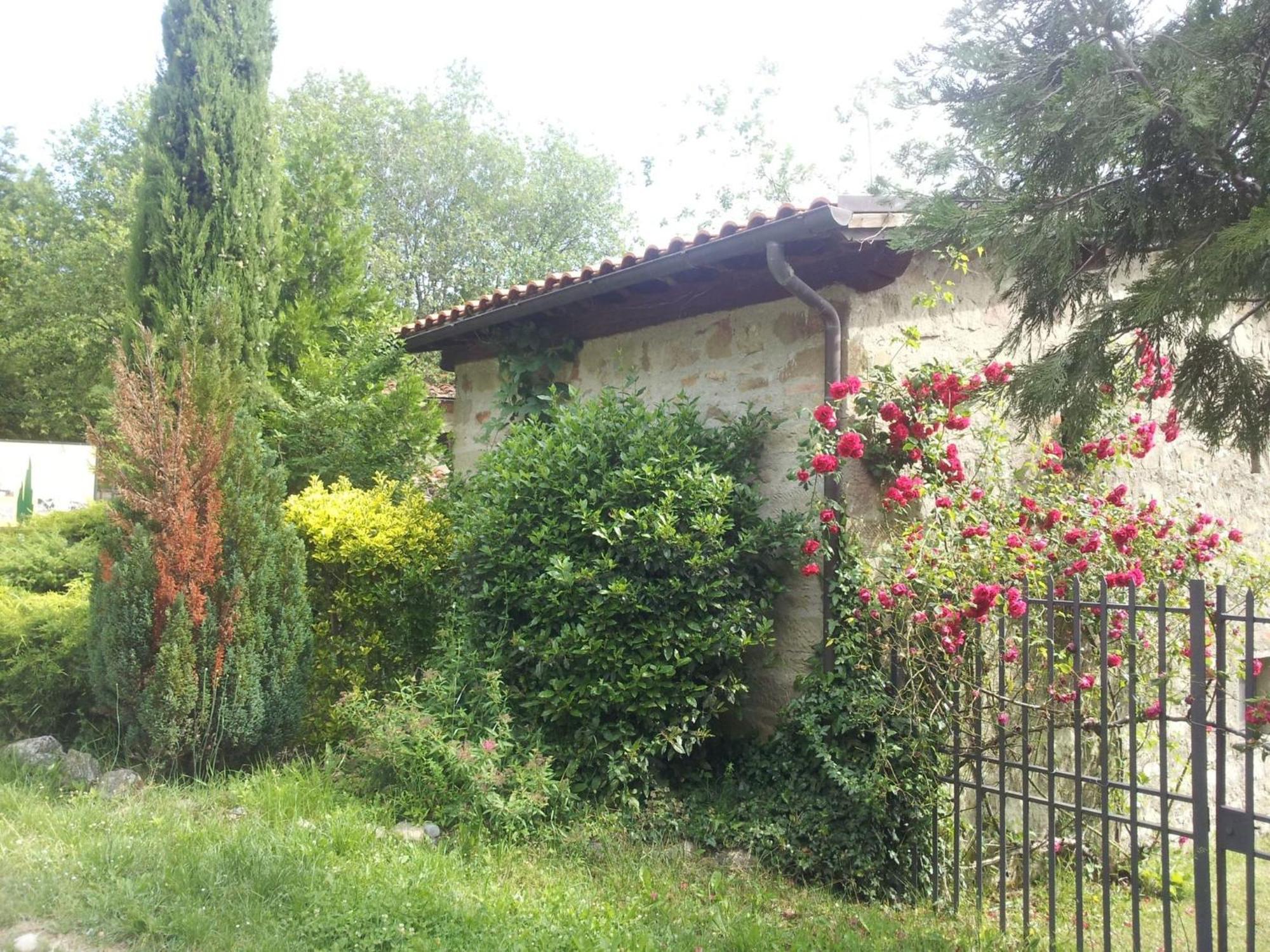 Fattoria Il Praticino - Metato Villa Castelfranco di Sopra Luaran gambar